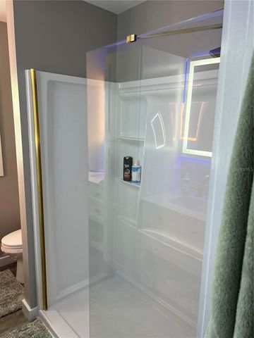 115 PATRICIAN PLACE, Satsuma, FL 32189