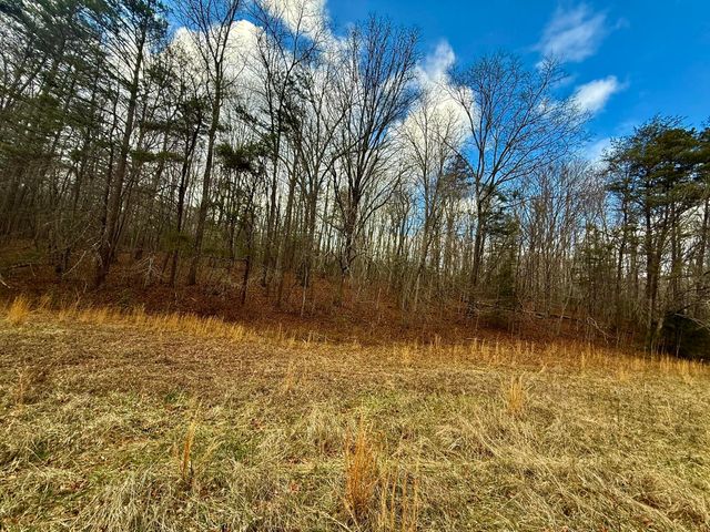 0 Cedar Springs Road, Turtletown, TN 37391