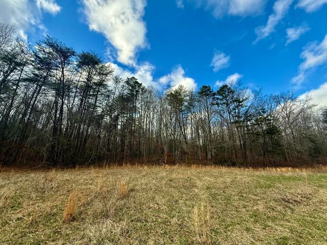 0 Cedar Springs Road, Turtletown, TN 37391