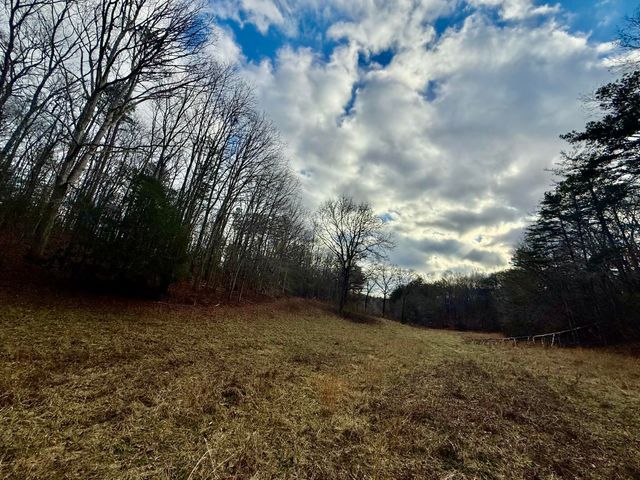 0 Cedar Springs Road, Turtletown, TN 37391