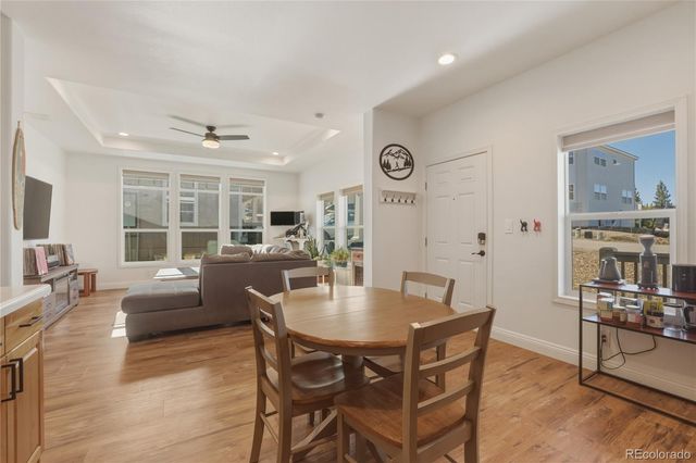 115 Brooklyn Circle, Leadville, CO 80461