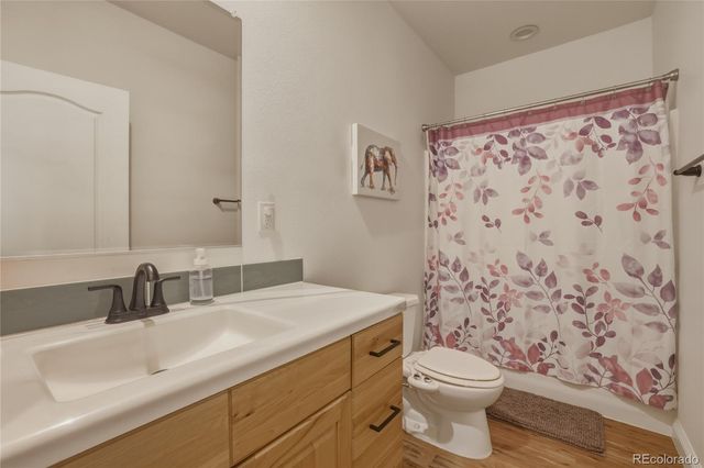115 Brooklyn Circle, Leadville, CO 80461