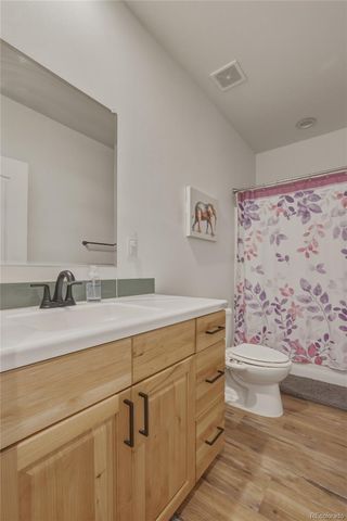 115 Brooklyn Circle, Leadville, CO 80461