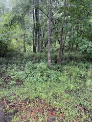 0 SE Kachina, Lee, FL 32059