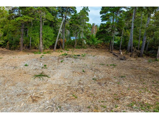 87905 ASTOR Ln, Bandon, OR 97411