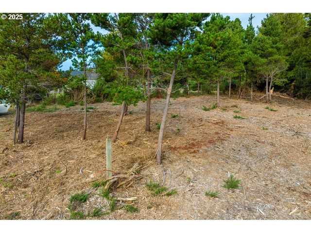 87905 ASTOR Ln, Bandon, OR 97411