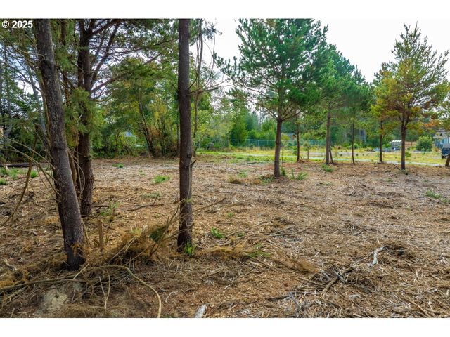 87905 ASTOR Ln, Bandon, OR 97411