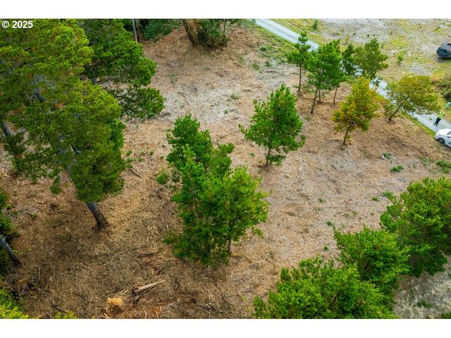 87905 ASTOR Ln, Bandon, OR 97411