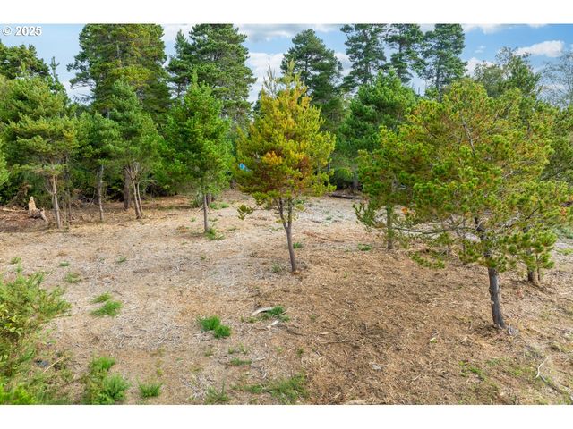 87905 ASTOR Ln, Bandon, OR 97411