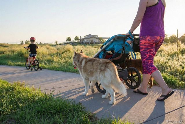 10790 Rolling Peaks Drive, Peyton, CO 80831