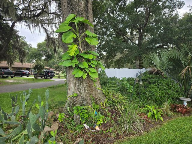 2043 NE 43RD STREET, Ocala, FL 34479