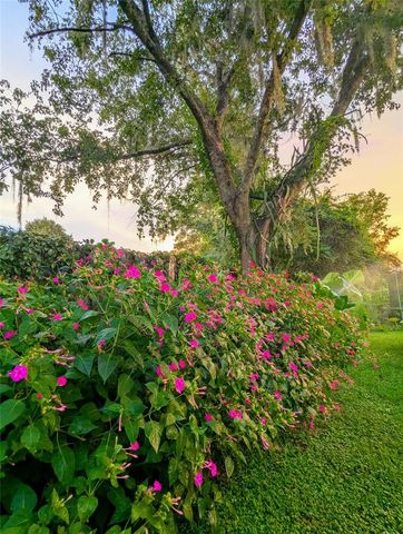 2043 NE 43RD STREET, Ocala, FL 34479