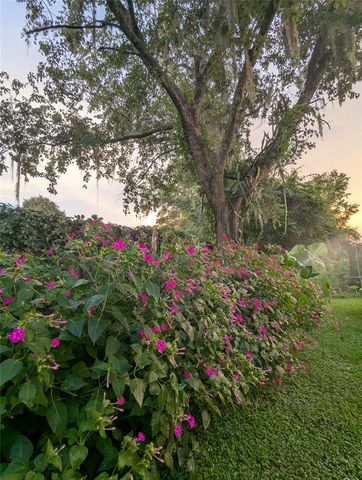 2043 NE 43RD STREET, Ocala, FL 34479