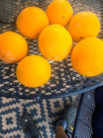 2043 NE 43RD STREET, Ocala, FL 34479