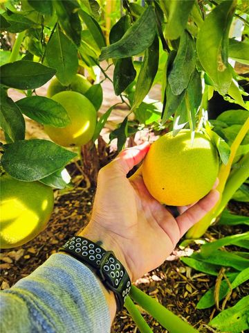 2043 NE 43RD STREET, Ocala, FL 34479