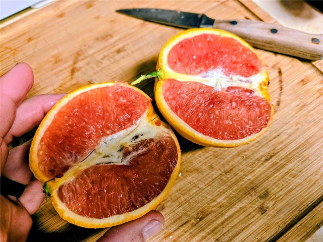 2043 NE 43RD STREET, Ocala, FL 34479