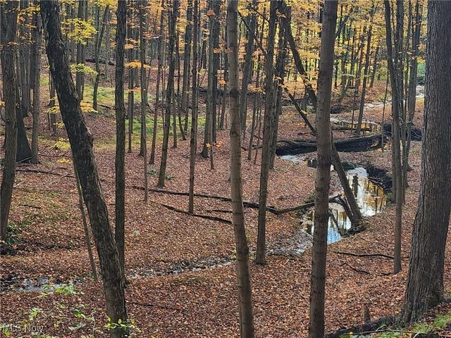 630 Woodhaven Drive, Cuyahoga Falls, OH 44223