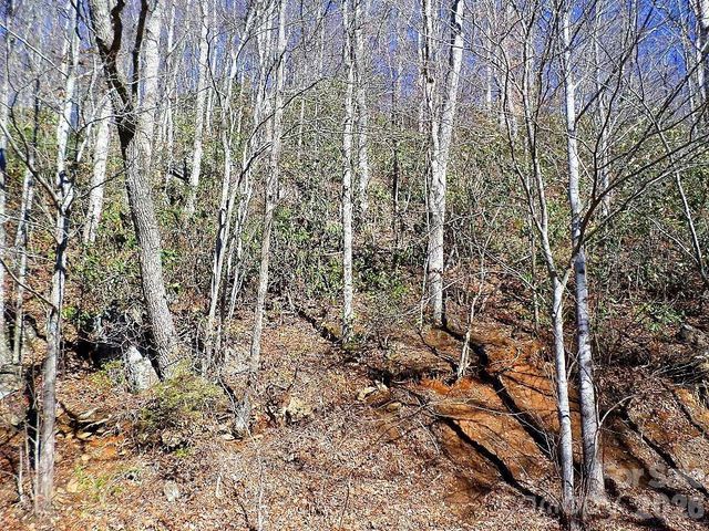 350 Mountain View Drive, Maggie Valley, NC 28751