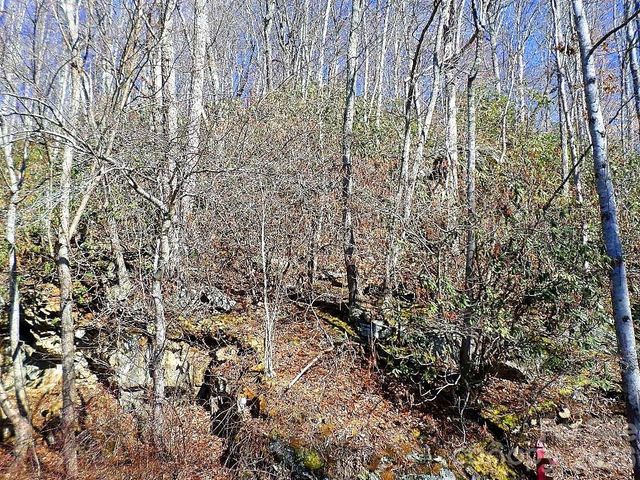 350 Mountain View Drive, Maggie Valley, NC 28751