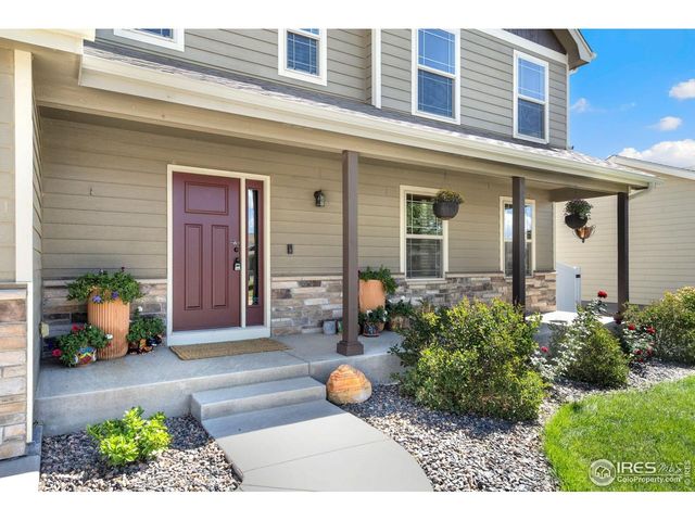 6962 Pettigrew St, Wellington, CO 80549
