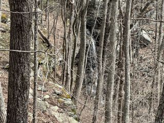4441 Deer Run Road, Altamont, TN 37301