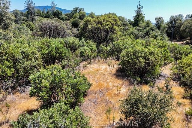 0 Leaning Pine Way, Mariposa, CA 95338