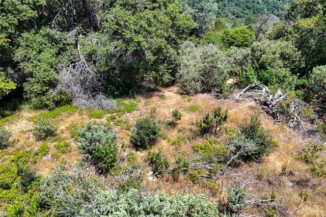 0 Leaning Pine Way, Mariposa, CA 95338