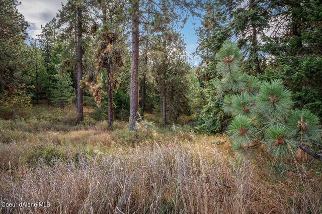 NKA 10AC Becky Lane, Worley, ID 83876
