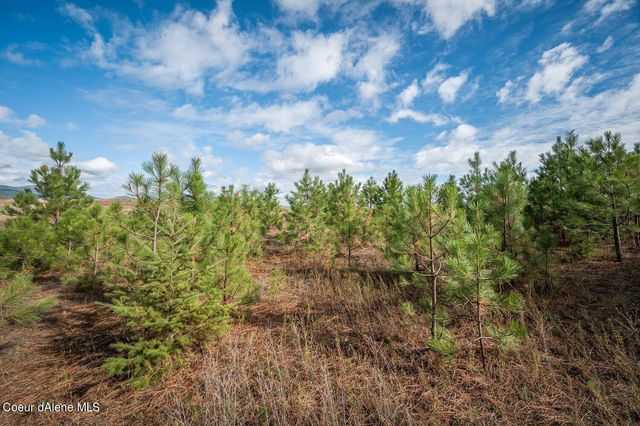 NKA 10AC Becky Lane, Worley, ID 83876