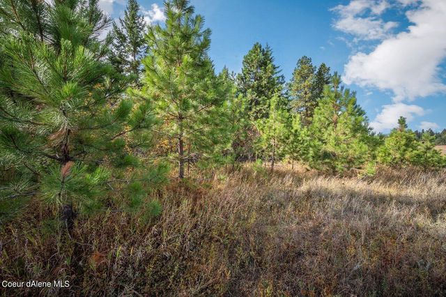 NKA 10AC Becky Lane, Worley, ID 83876