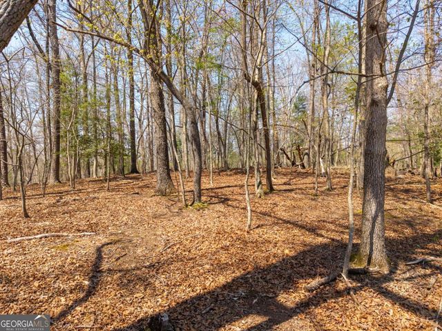 33 Foxhound Drive, Ellijay, GA 30540