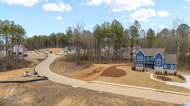 7855 BRAE VILLAGE DRIVE, Morris, AL 35116