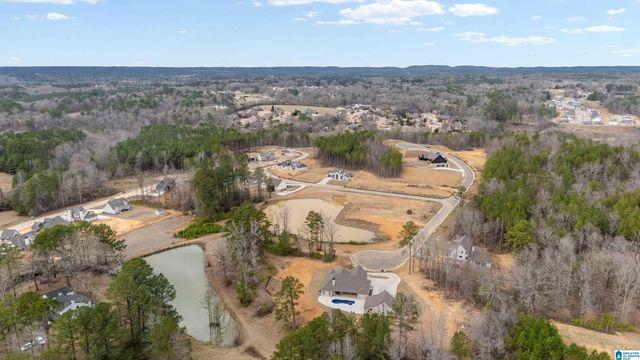 7855 BRAE VILLAGE DRIVE, Morris, AL 35116