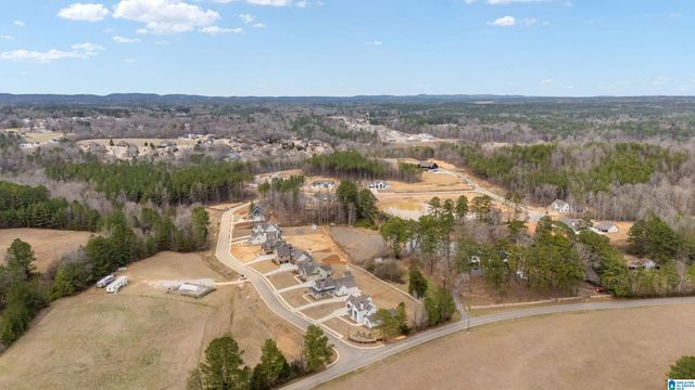 7855 BRAE VILLAGE DRIVE, Morris, AL 35116