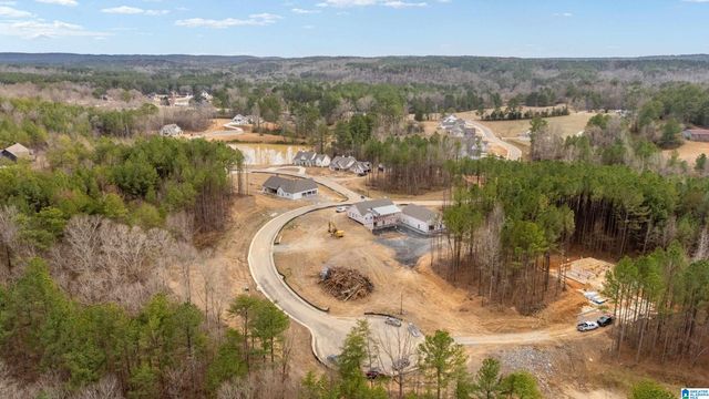 7855 BRAE VILLAGE DRIVE, Morris, AL 35116