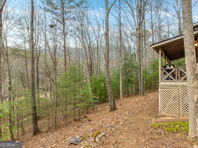 123 Martins Bluff, Blairsville, GA 30512