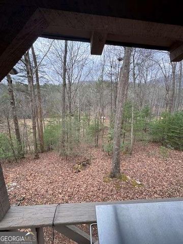 123 Martins Bluff, Blairsville, GA 30512