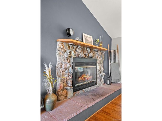 33172 Lynx Ln, Evergreen, CO 80439