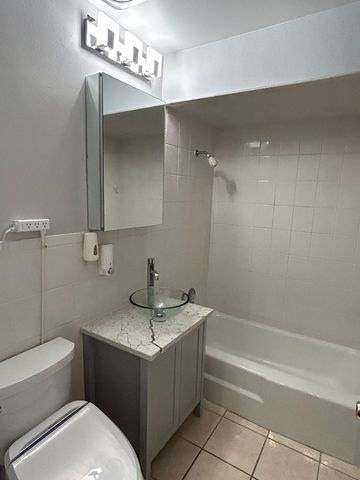 10805 S Pulaski Road 4, Chicago, IL 60655
