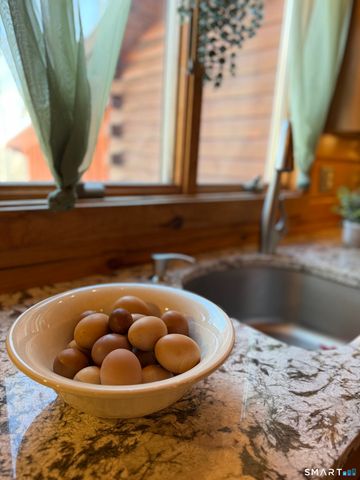 56 Reservoir Road, Goshen, CT 06756