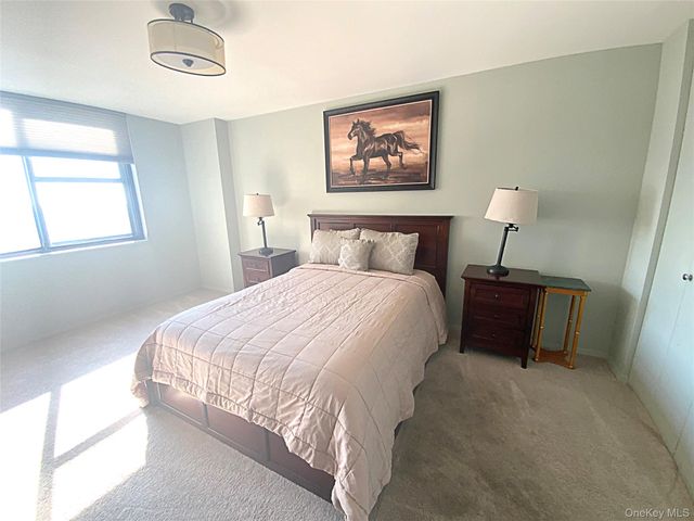 26910 Grand Central Parkway 33Y, Floral Park, NY 11005