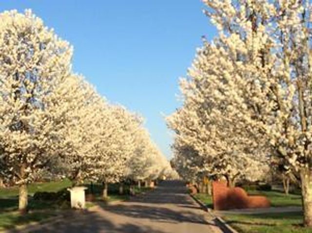 LT 43 E Waitsboro Drive, Somerset, KY 42503