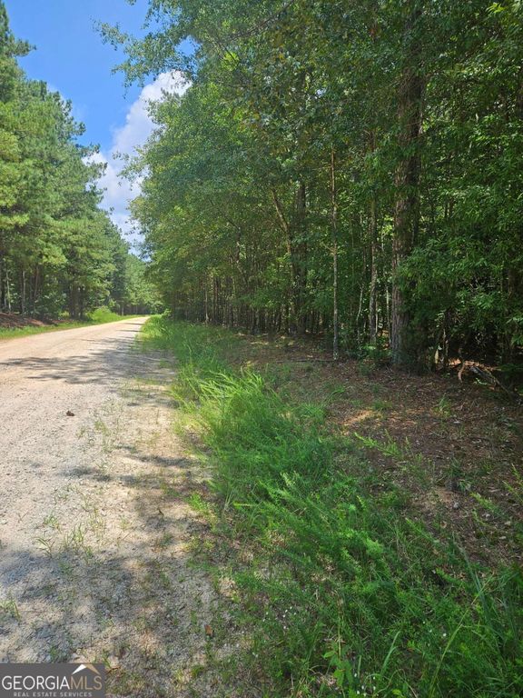 292 Mccannon Road TRACT 3A, Carlton, GA 30627 — exterior