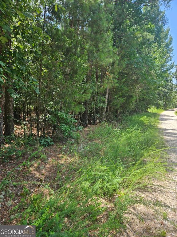 292 Mccannon Road TRACT 3A, Carlton, GA 30627 — photo 2