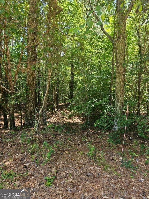 292 Mccannon Road TRACT 3A, Carlton, GA 30627 — photo 3