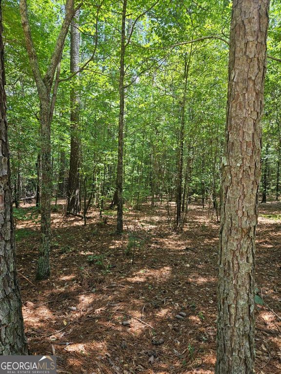 292 Mccannon Road TRACT 3A, Carlton, GA 30627 — photo 4