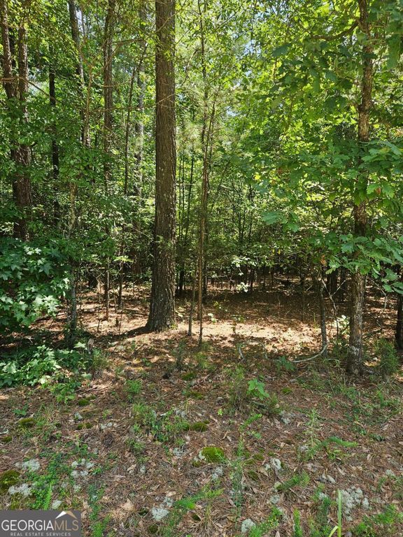 292 Mccannon Road TRACT 3A, Carlton, GA 30627 — photo 5