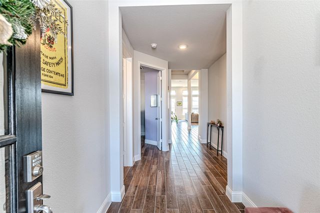 21703 Prickly Caterpillar Court, Cypress, TX 77433