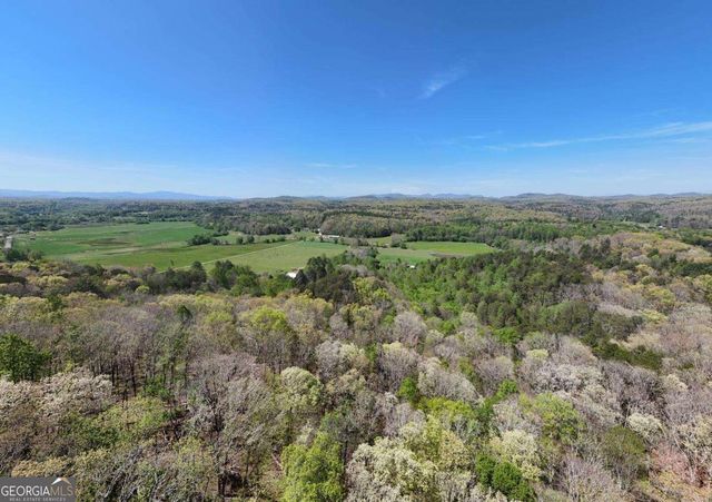 19.25 AC Old Hwy 76, Morganton, GA 30560
