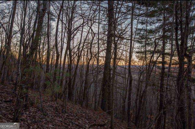 19.25 AC Old Hwy 76, Morganton, GA 30560